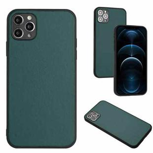 For iPhone 11 Pro Max R20 Leather Pattern Phone Single Case(Green)