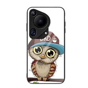 For Huawei Pura 70 Ultra Colorful Painted Glass Phone Case(Owl)