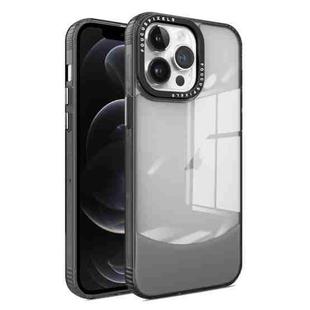 For iPhone 12 / 12 Pro Two-color High Transparency Skin Feel TPU Phone Case(Black)