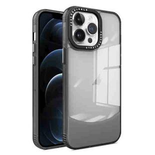 For iPhone 12 Pro Max Two-color High Transparency Skin Feel TPU Phone Case(Black)