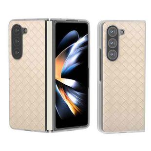 For Samsung Galaxy Z Fold5 5G Woven Texture Frosted Translucent Frame PU Phone Case(Beige)