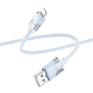 hoco U132 Beijing 1.2m 2.4A USB to 8 Pin Charging Data Cable(Blue)