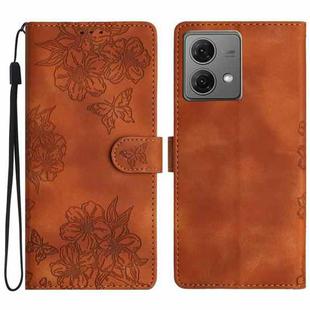 For Motorola Moto G84 5G Cherry Blossom Butterfly Skin Feel Embossed PU Phone Case(Brown)