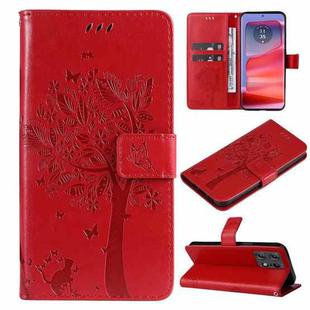 For Motorola Edge 50 Pro Tree & Cat Embossed Pattern Flip Leather Phone Case(Red)