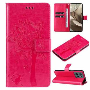 For Motorola Edge 50 5G Tree & Cat Embossed Pattern Flip Leather Phone Case(Rose Red)