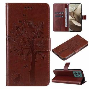 For Motorola Edge 50 5G Tree & Cat Embossed Pattern Flip Leather Phone Case(Coffee)