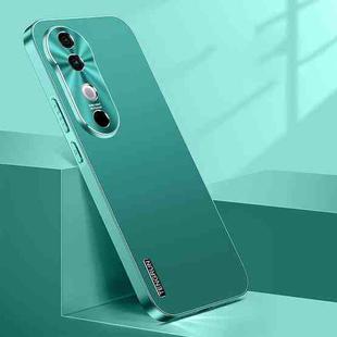 For vivo S19 Streamer Series Micro Frosted Metal Paint PC Phone Case(Alpine Green)