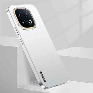 For vivo iQOO 13 Streamer Series Micro Frosted Metal Paint PC Phone Case(Silver)