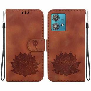 For Motorola Edge 40 Neo Lotus Embossed Leather Phone Case(Brown)