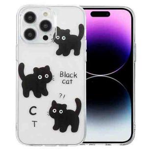 For iPhone 14 Pro Colored Drawing Pattern Transparent TPU Phone Case(Black Cat)