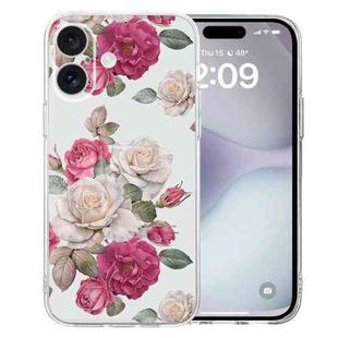 For iPhone 16 Plus Colored Drawing Pattern Transparent TPU Phone Case(Peony)