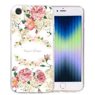 For iPhone SE 2022 / SE 2020 / 8 / 7 Colored Drawing Pattern Transparent TPU Phone Case(Rose)