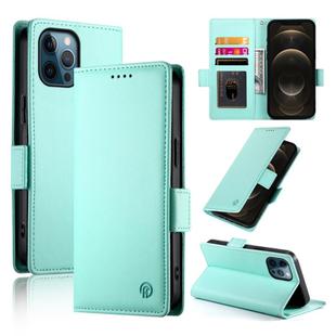 For iPhone 12 Pro Max Side Buckle Magnetic Frosted Leather Phone Case(Mint Green)