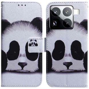 For Xiaomi 15 Pro Coloured Drawing Flip Leather Phone Case(Panda)