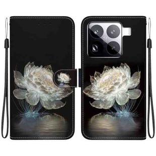 For Xiaomi 15 Pro Crystal Texture Colored Drawing Leather Phone Case(Crystal Peony)