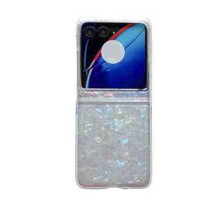For Motorola Razr 50 Pearlescent Shell Texture Phone Case(Beige)