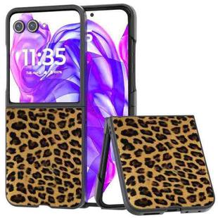 For Motorola Razr 50 Ultra Black Edge Leopard Phone Case(Leopard Print)