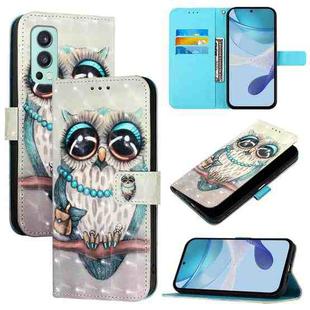 For OnePlus Nord 2 5G 3D Painting Horizontal Flip Leather Phone Case(Grey Owl)