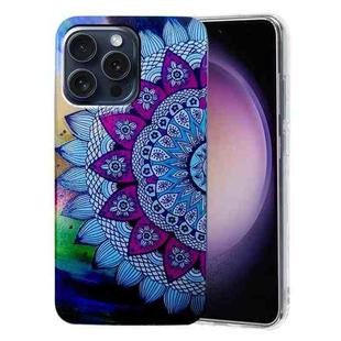 For iPhone 16 Pro Max Colored Drawing Pattern TPU Phone Case(Half-flower)