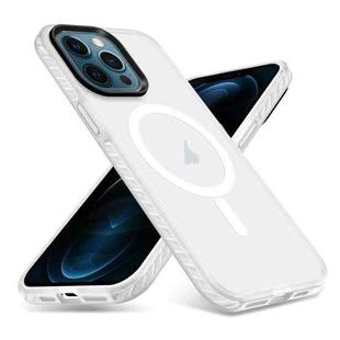 For iPhone 12 Pro Max Skin Feel Airbag Shockproof MagSafe Phone Case(Transparent)