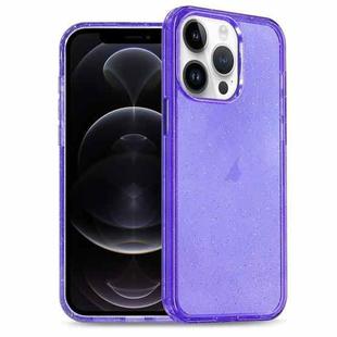 For iPhone 12 Pro Glitter Powder TPU Hybrid PC Phone Case(Purple)