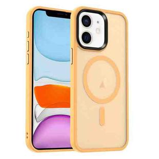 For iPhone 11 MagSafe Magnetic Skin Feel Frosted Phone Case(Orange)