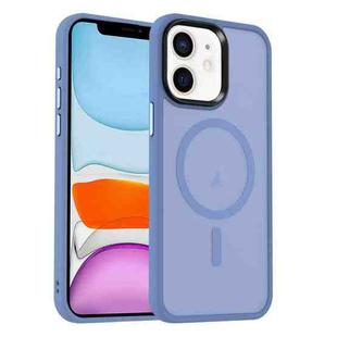 For iPhone 11 MagSafe Magnetic Skin Feel Frosted Phone Case(Light Blue)