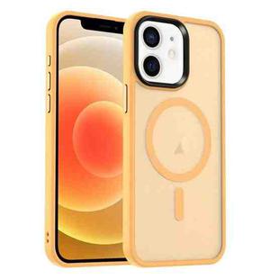 For iPhone 12 MagSafe Magnetic Skin Feel Frosted Phone Case(Orange)