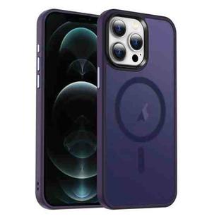 For iPhone 12 Pro MagSafe Magnetic Skin Feel Frosted Phone Case(Dark Purple)