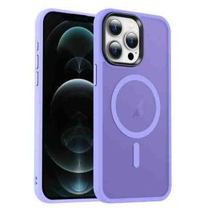 For iPhone 12 Pro Max MagSafe Magnetic Skin Feel Frosted Phone Case(Light Purple)