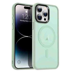 For iPhone 14 Pro Max MagSafe Magnetic Skin Feel Frosted Phone Case(Light Green)