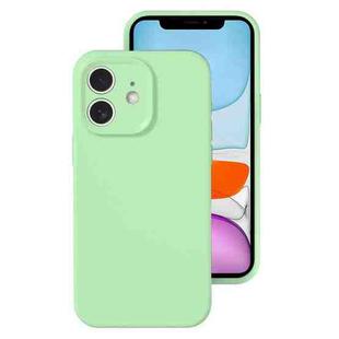 For iPhone 11 Precise Hole Liquid Silicone Jelly Color Full Coverage Phone Case(Mint Green)