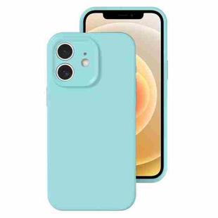 For iPhone 12 Precise Hole Liquid Silicone Jelly Color Full Coverage Phone Case(Glacier Blue)