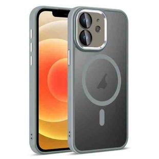 For iPhone 12 Colorful Armor Lens Film Translucent Skin Feel MagSafe Phone Case(Grey)