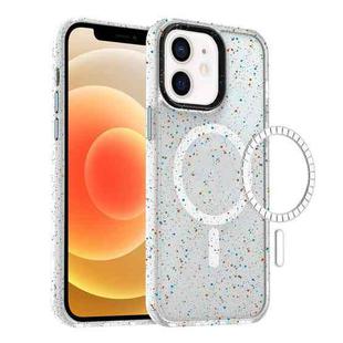 For iPhone 11 Colorful Ink-splash Magsafe PC Hybrid TPU Phone Case(White)