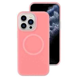 For iPhone 11 Pro Max Jelly Liquid Silicone MagSafe Magnetic Phone Case(Berry Powder)