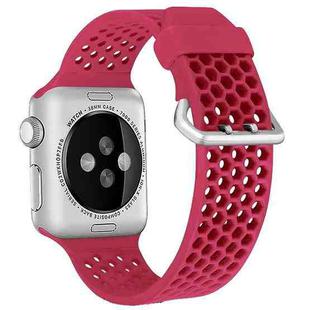 For Apple Watch Series 7 45mm / 6 & SE & 5 & 4 44mm / 3 & 2 & 1 42mm Two-tone Honeycomb Breathable Silicone Watch Band(Red)