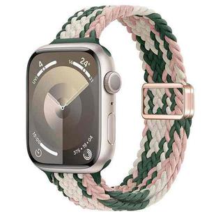 For Apple Watch SE 2023 44mm Slim Magnetic Buckle Nylon Braided Watch Band(Pink Star Cactus)