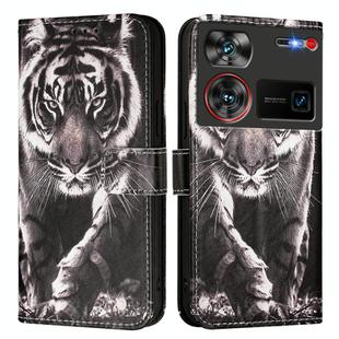 For ZTE nubia Z60 Ultra Colored Drawing Pattern Plain Weave Leather Phone Case(Black And White Tiger)