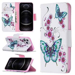 For iPhone 12 / 12 Pro Colored Drawing Pattern Horizontal Flip Leather Case with Holder & Card Slots & Wallet(Peach Blossom and Butterfly)