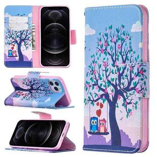 For iPhone 12 / 12 Pro Colored Drawing Pattern Horizontal Flip Leather Case with Holder & Card Slots & Wallet(Two Owls)