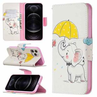 For iPhone 12 / 12 Pro Colored Drawing Pattern Horizontal Flip Leather Case with Holder & Card Slots & Wallet(Elephant)