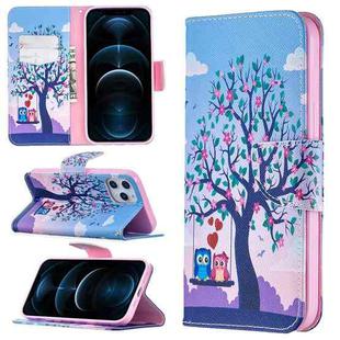 For iPhone 12 Pro Max Colored Drawing Pattern Horizontal Flip Leather Case with Holder & Card Slots & Wallet(Two Owls)