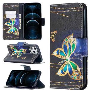 For iPhone 12 Pro Max Colored Drawing Pattern Horizontal Flip Leather Case with Holder & Card Slots & Wallet(Big Butterfly)