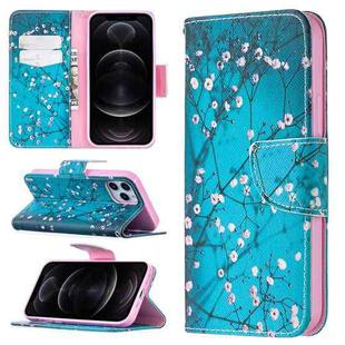 For iPhone 12 / 12 Pro Colored Drawing Pattern Horizontal Flip Leather Case with Holder & Card Slots & Wallet(Plum Blossom)