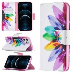 For iPhone 12 Pro Max Colored Drawing Pattern Horizontal Flip Leather Case with Holder & Card Slots & Wallet(Sunflower)