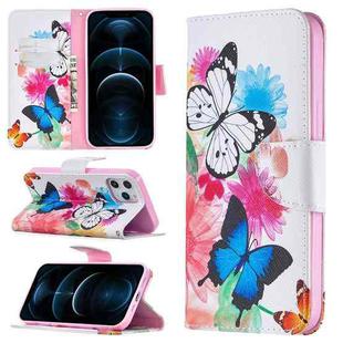 For iPhone 12 Pro Max Colored Drawing Pattern Horizontal Flip Leather Case with Holder & Card Slots & Wallet(Two Butterflies)