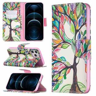 For iPhone 12 Pro Max Colored Drawing Pattern Horizontal Flip Leather Case with Holder & Card Slots & Wallet(Tree of Life)