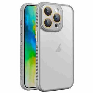 For iPhone 16 Pro Side Cooling Skin Feel Frosted Phone Case(Grey)