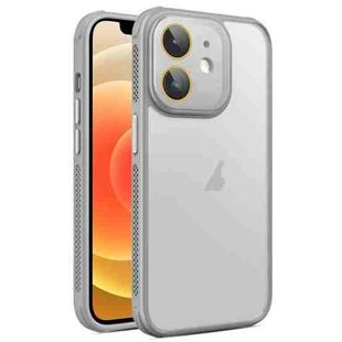 For iPhone 12 Hardware Side Cooling Skin Feel Frosted Phone Case with Lens Film(Grey)